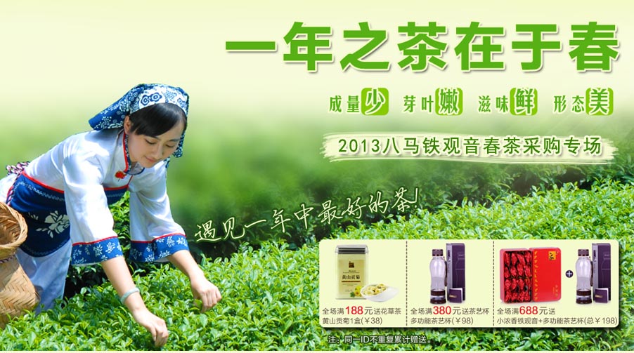 2013八马铁观音春茶采购专场